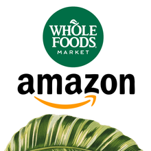 Load image into Gallery viewer, ADULT Magnesium Calm Gummies Chewable Supplements 250mg